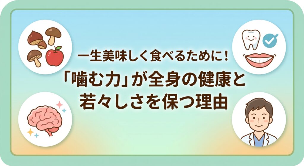 噛む力が全身の健康と若々しさを保つ理由